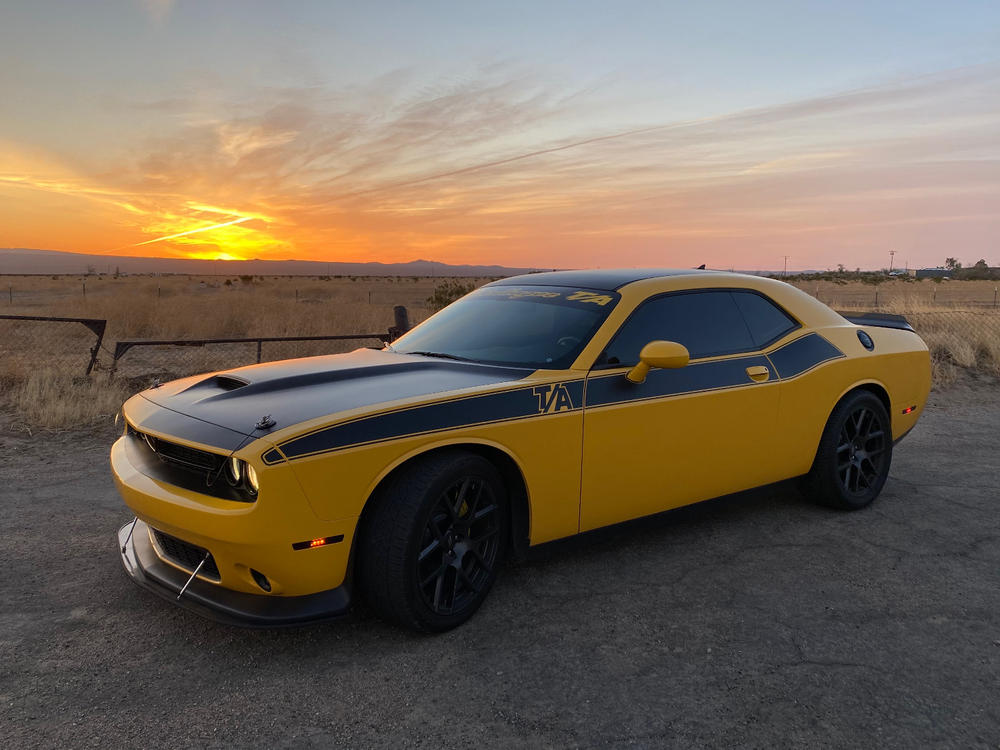Matte Paint Prescription - No accessories - Customer Photo From Paul Miller