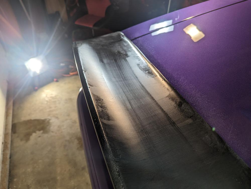 Matte Paint Coating Pro Kit - Customer Photo From Richard Roman