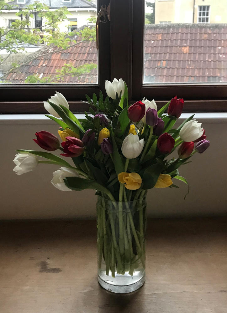 Bright & Beautiful Tulips - Customer Photo From Alan Dart