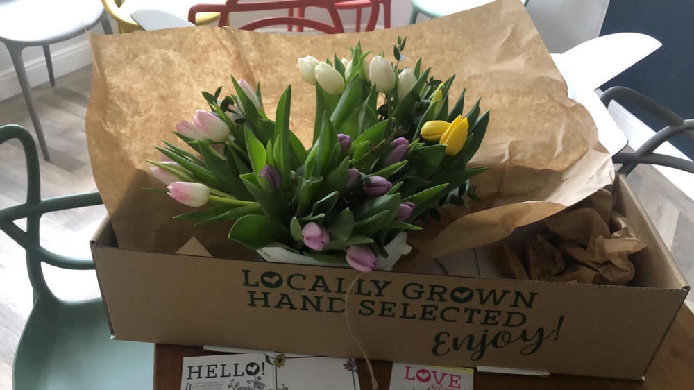 Tranquil Pastel Tulips - Customer Photo From Lisa Andrews