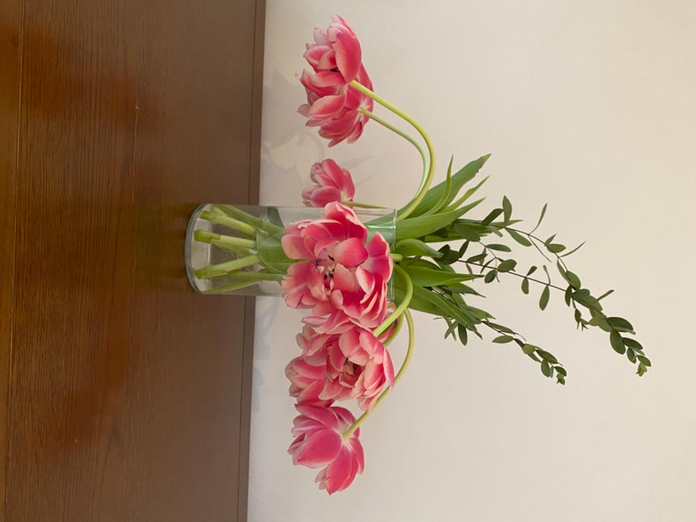 Speciality Tulips - Customer Photo From Lillie Potter