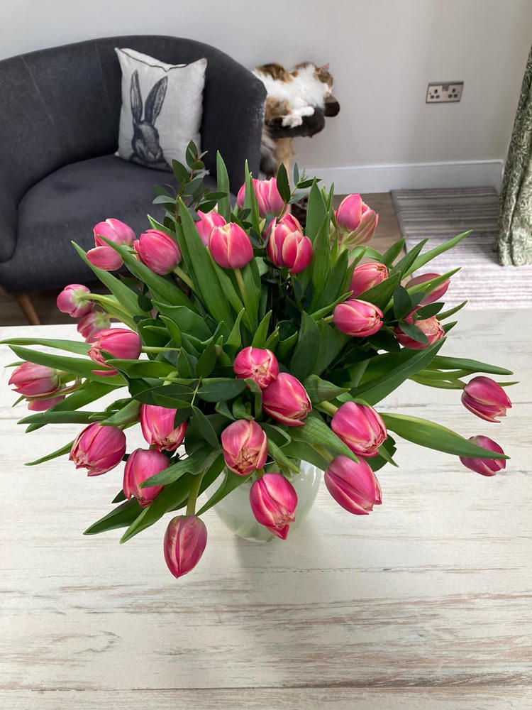 Speciality Tulips - Customer Photo From Stephanie Armistead