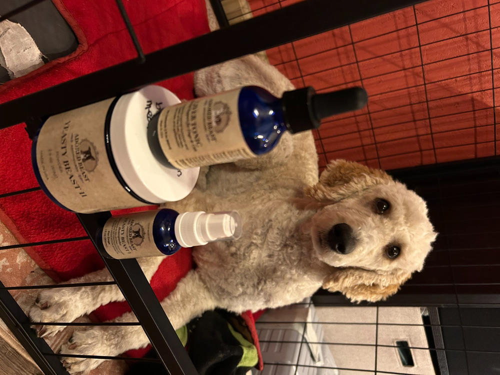 Yeasty Beast Protocol for Dogs - 3 product kit - Customer Photo From Darlene Huntinghouse