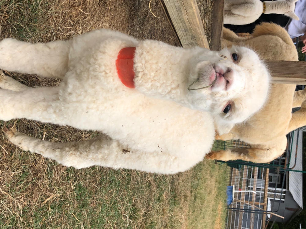 Farm Tours - Customer Photo From Mary Digby