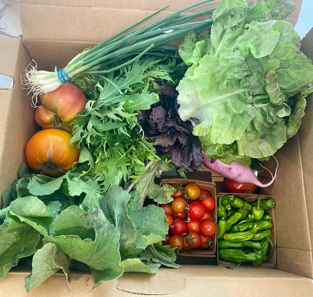 Harvest Box - Customer Photo From Katharine Gilbert
