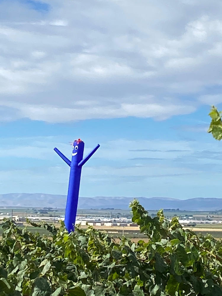 Air Ranger® Scarecrow Inflatable Tube Man | Bird & Pest Deterrant