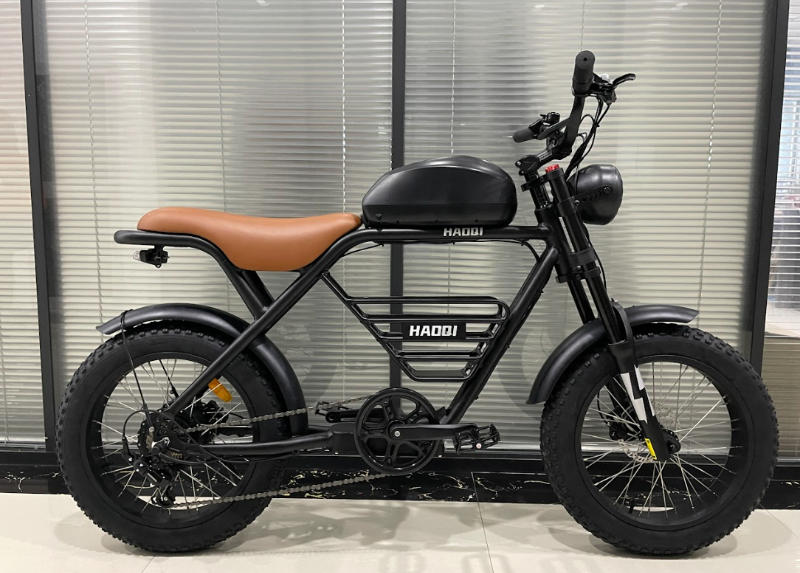 HAOQI Rhino Electric Motorbike - Customer Photo From Andriy Davydenko