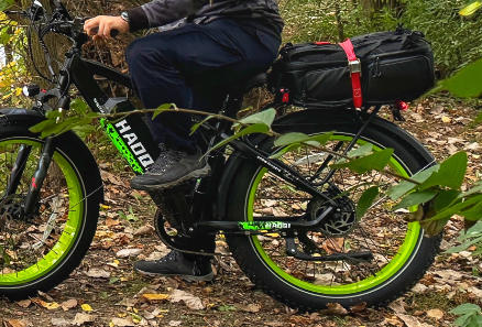HAOQI Green Leopard Pro Fat Tire Electric Bike - Customer Photo From Sherry J Attard
