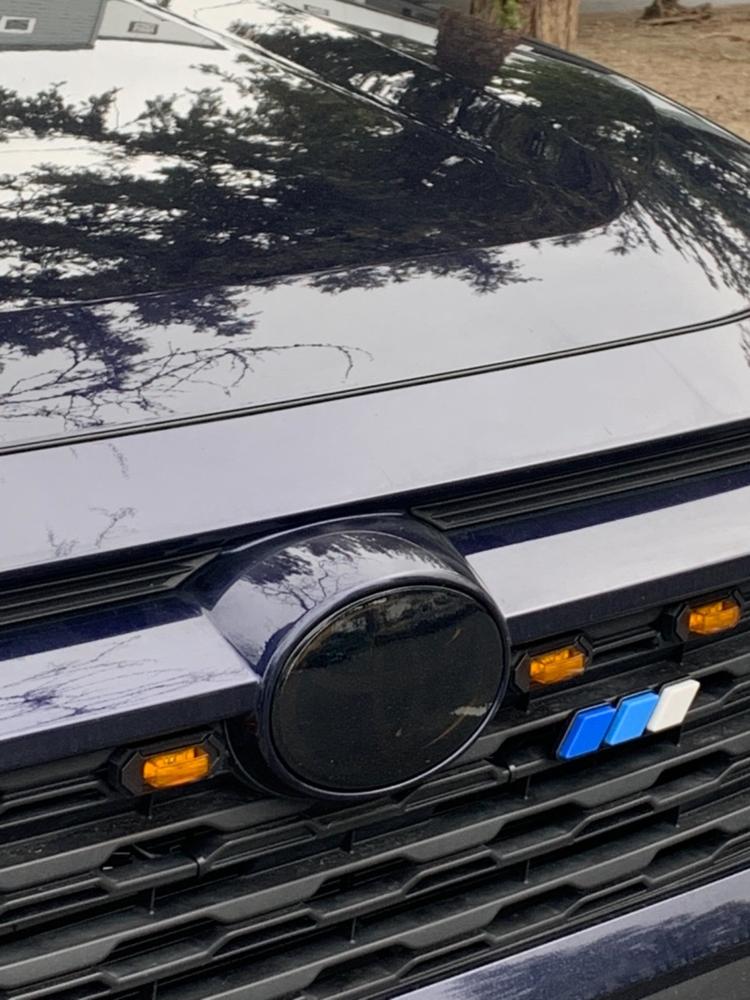 Toyota RAV4 (19-  ) Emblem Covers - Customer Photo From Anonymous
