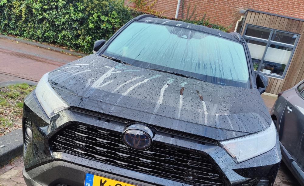 Toyota RAV4 (2019+  ) Emblem Covers - Customer Photo From Anonymous