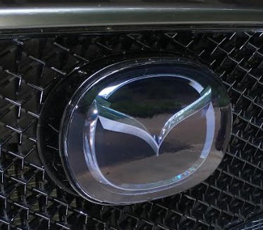 Universal Emblem Cover - Customer Photo From Donald Young