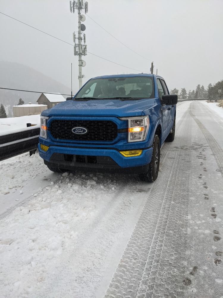 Ford F-150 (2021+ ) Fog Light Covers - Customer Photo From Steven A.