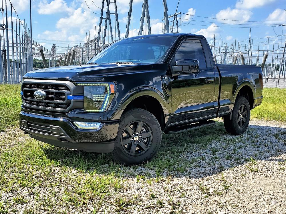 Ford F-150 (2021+ ) Fog Light Covers - Customer Photo From Brian Worden