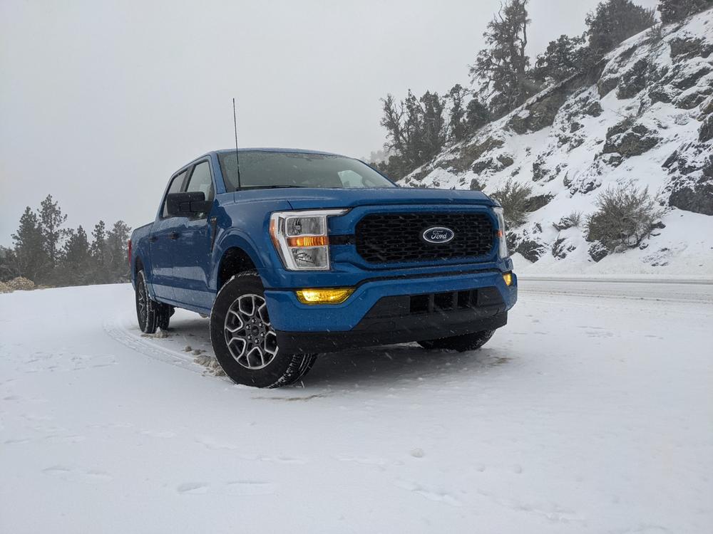 Ford F-150 (2021+ ) Fog Light Covers - Customer Photo From Steven A.