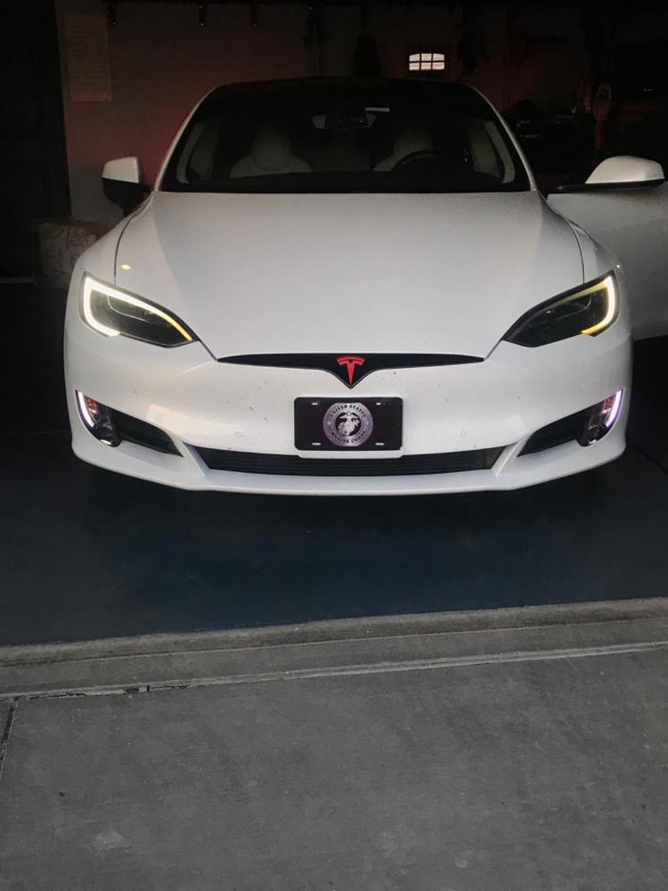 Tesla Model S (2012-2020) Tail Light Covers - Customer Photo From Marcus Chestnut