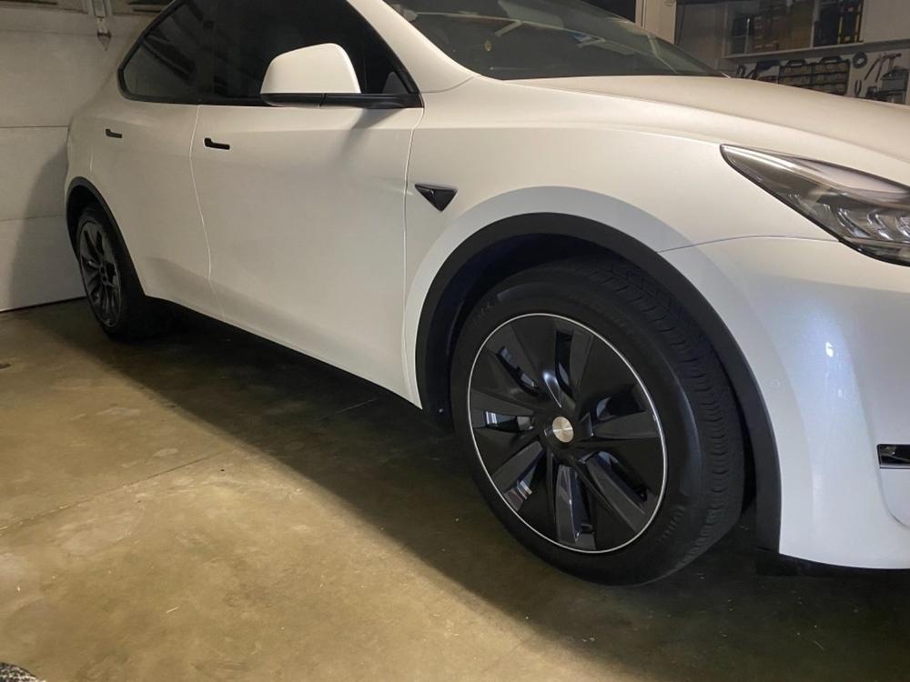 Tesla Model Y (2020+ ) Invisible Bug Guard