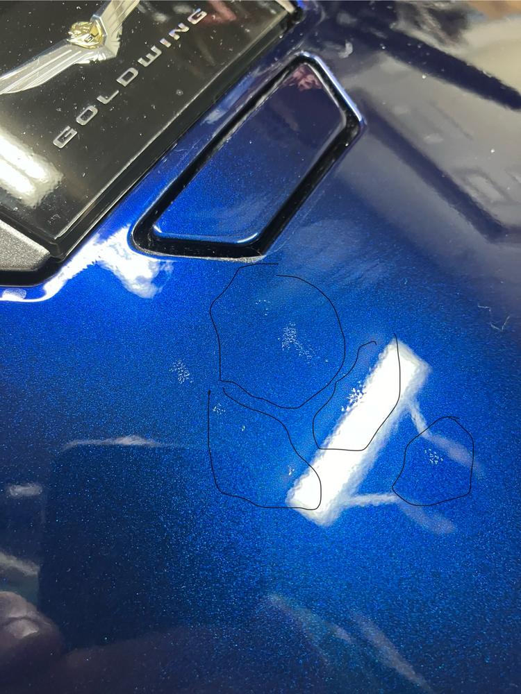 Honda Goldwing (2018+  ) Paint Protection Tank Kit - Customer Photo From Sean Giroux