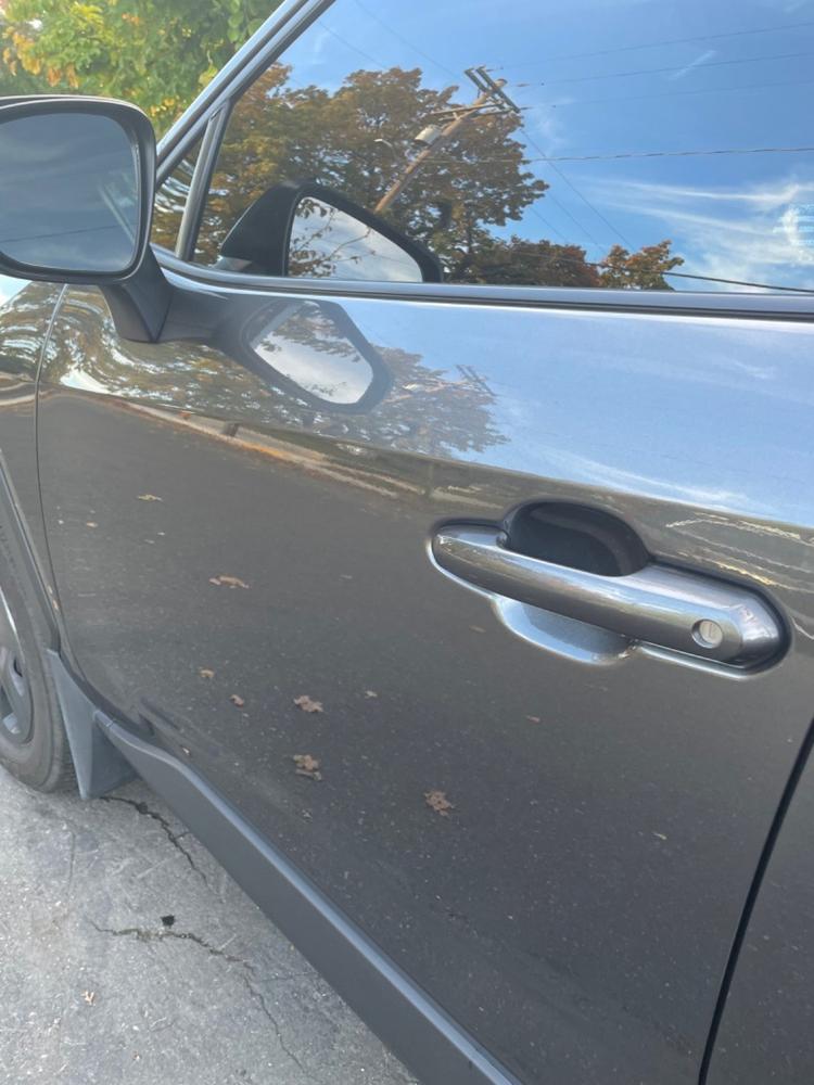 Toyota RAV4 (19-  ) Door Handle Cup Paint Protection - Customer Photo From Rafael La Madrid