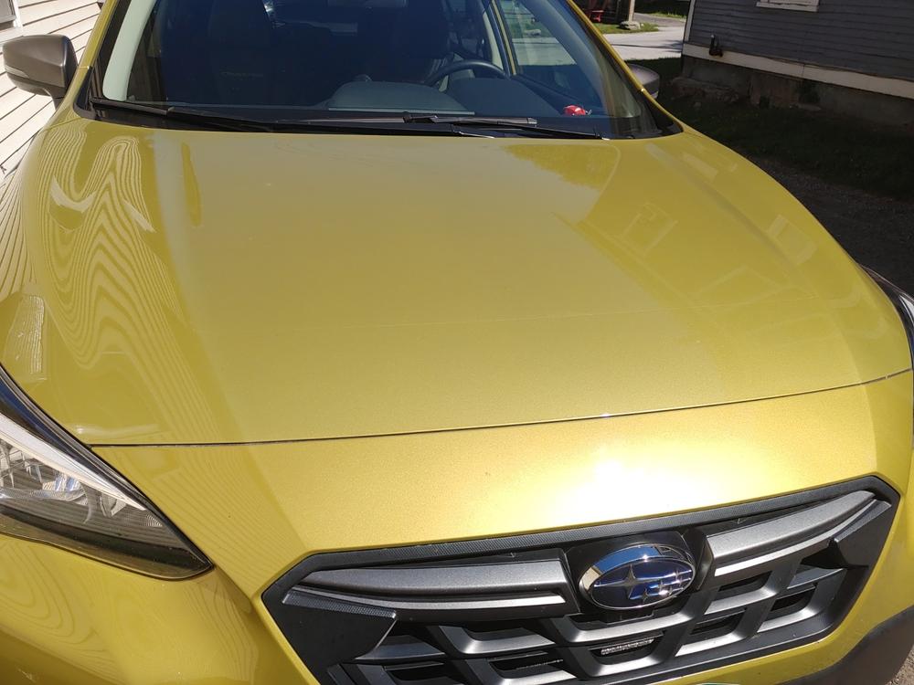 Subaru Crosstrek (18-  ) Invisible Bug Guard - Customer Photo From Daniel N.