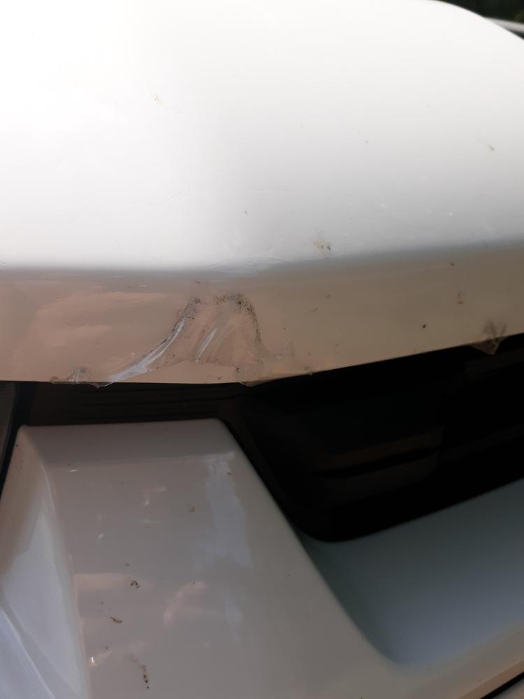 Chevy Silverado 2500, 3500 (2020+  ) Invisible Bug Guard - Customer Photo From Duoglas Laws