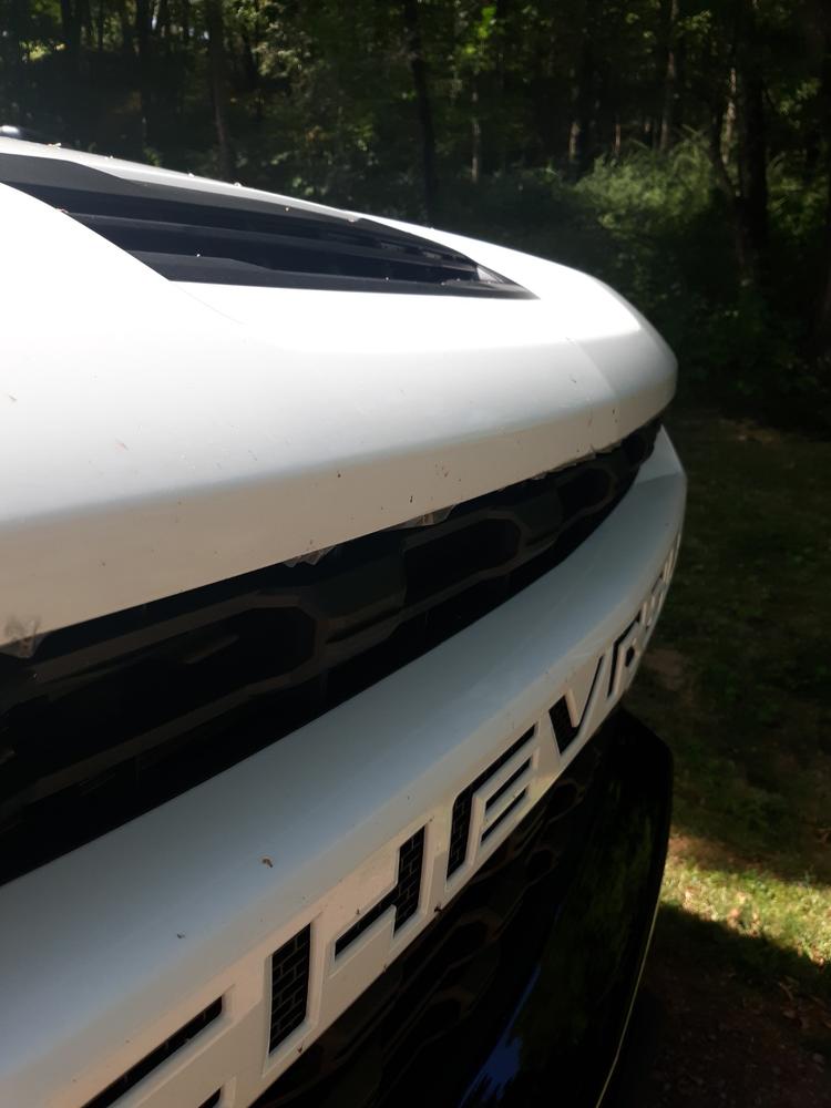 Chevy Silverado 2500, 3500 (2020+  ) Invisible Bug Guard - Customer Photo From Duoglas Laws