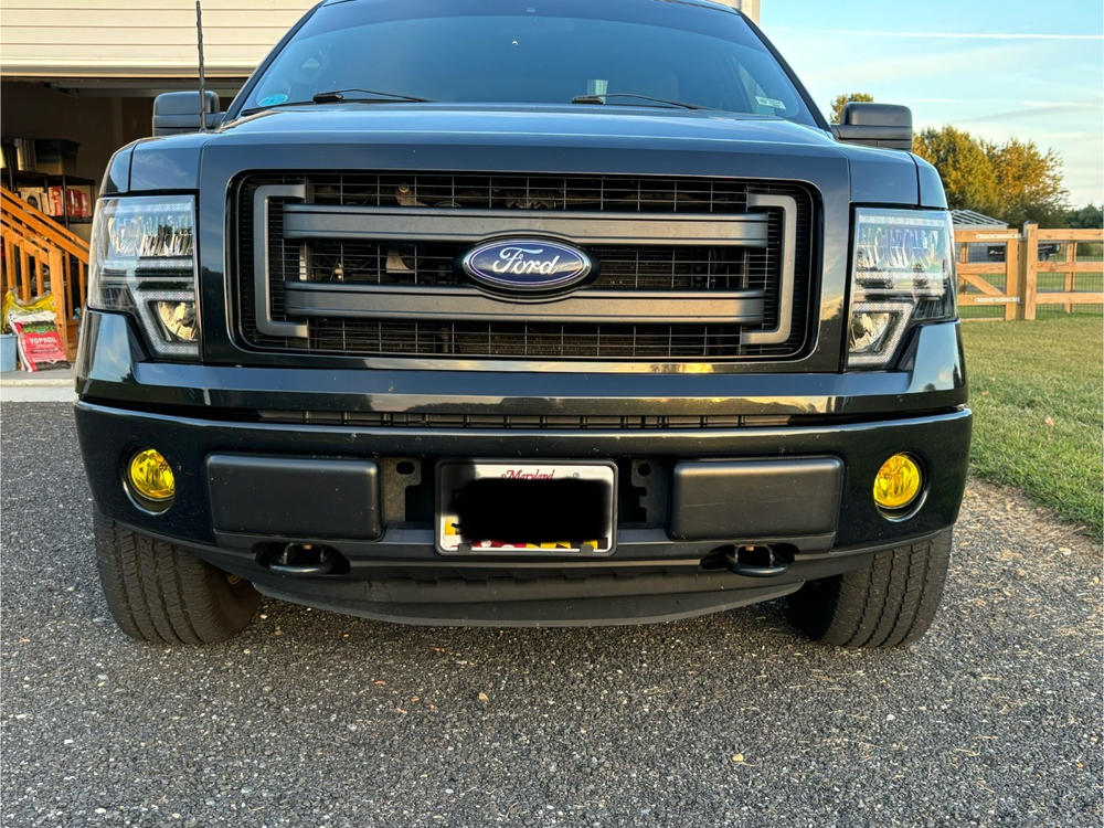 Ford F-150 (09-14) Fog Light Covers - Customer Photo From Joshua Blankenship