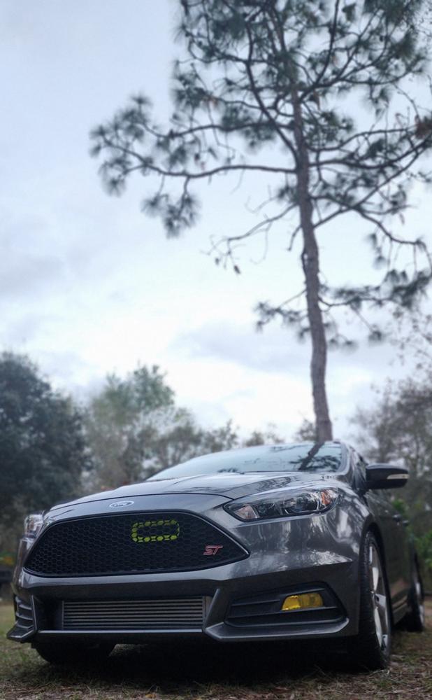 Ford Focus ST (2015-2018) Fog Light Covers - Customer Photo From andrew vreeland