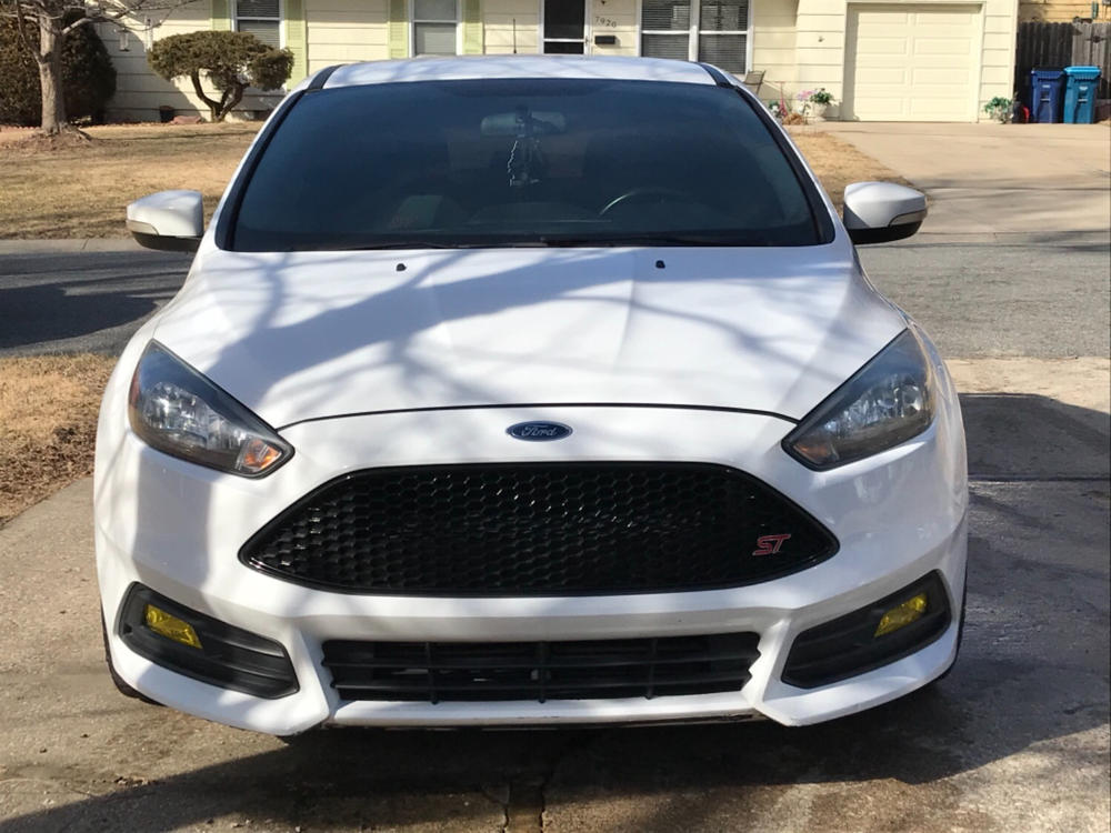 Ford Focus ST (15- ) Fog Light Covers - Customer Photo From Josh Crutchfield