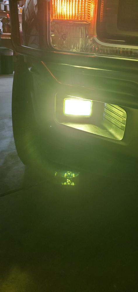 Ford F-150 (18-20) Fog Light Covers - Customer Photo From Anonymous