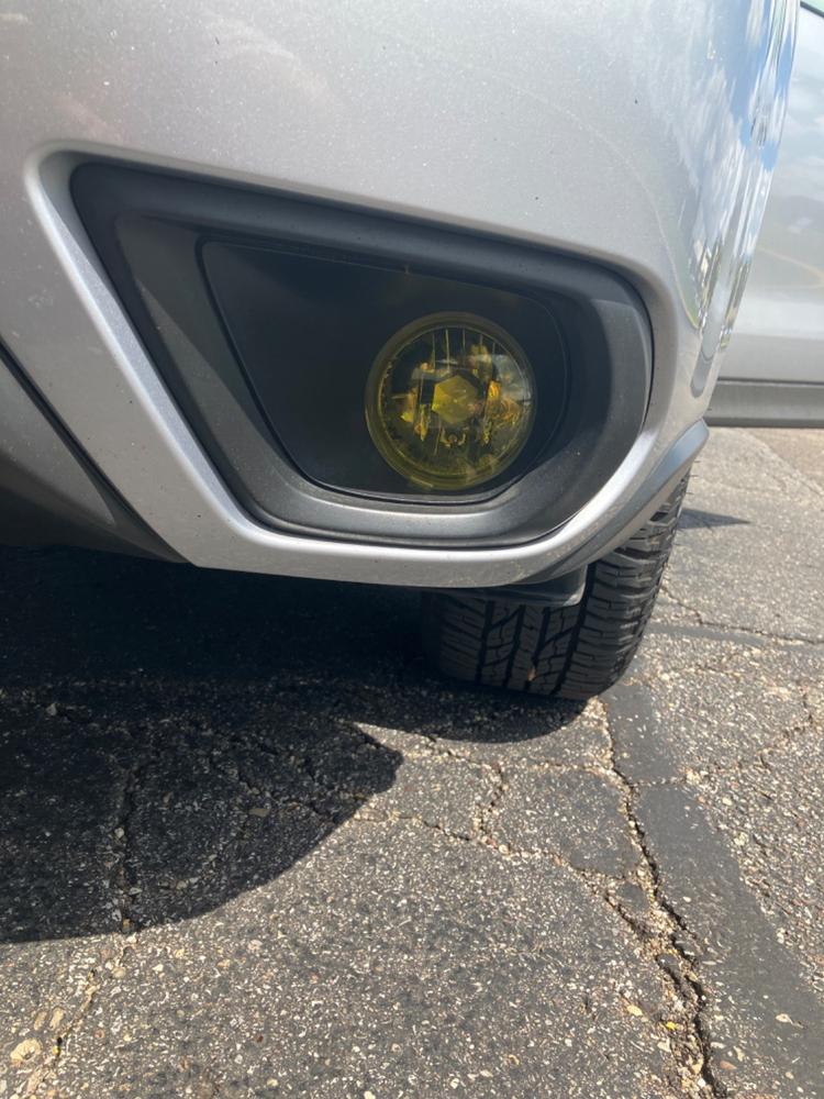 Subaru Forester (14-16) Fog Light Covers - Customer Photo From Marty Russo