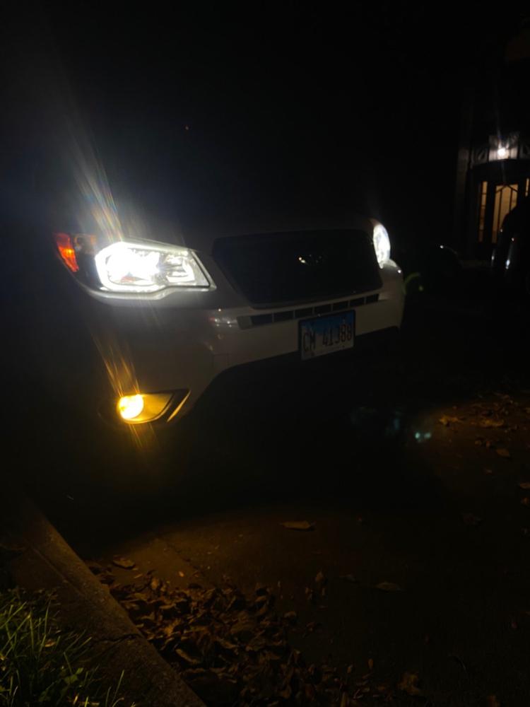 Subaru Forester (14-16) Fog Light Covers - Customer Photo From Anna LaFleur