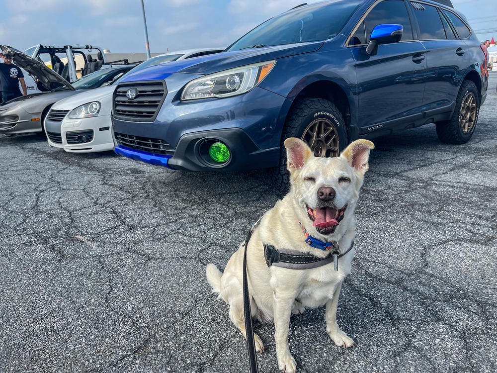 Subaru Outback (15-17) Fog Light Covers - Customer Photo From Tom Geist