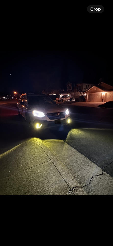 Subaru Outback (2020-2022) Fog Light Covers - Customer Photo From Ian Tosh