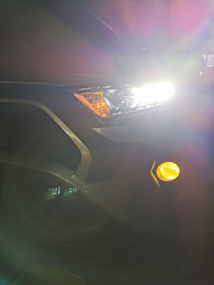 Toyota RAV4 (2019+  ) Fog Light Covers - Customer Photo From Anonymous