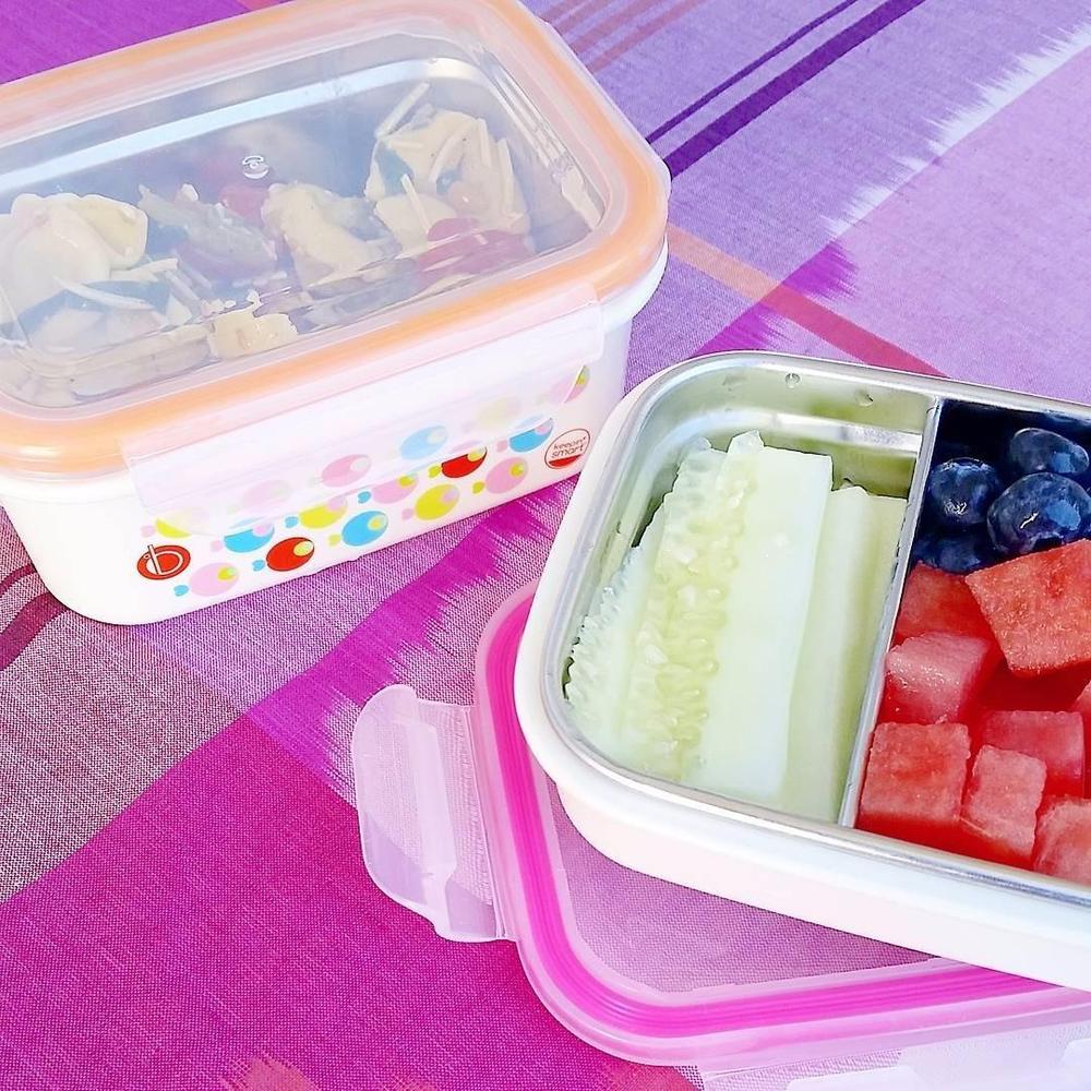 Stainless Steel Bento Lunch Box for Kids by Innobaby – innobaby