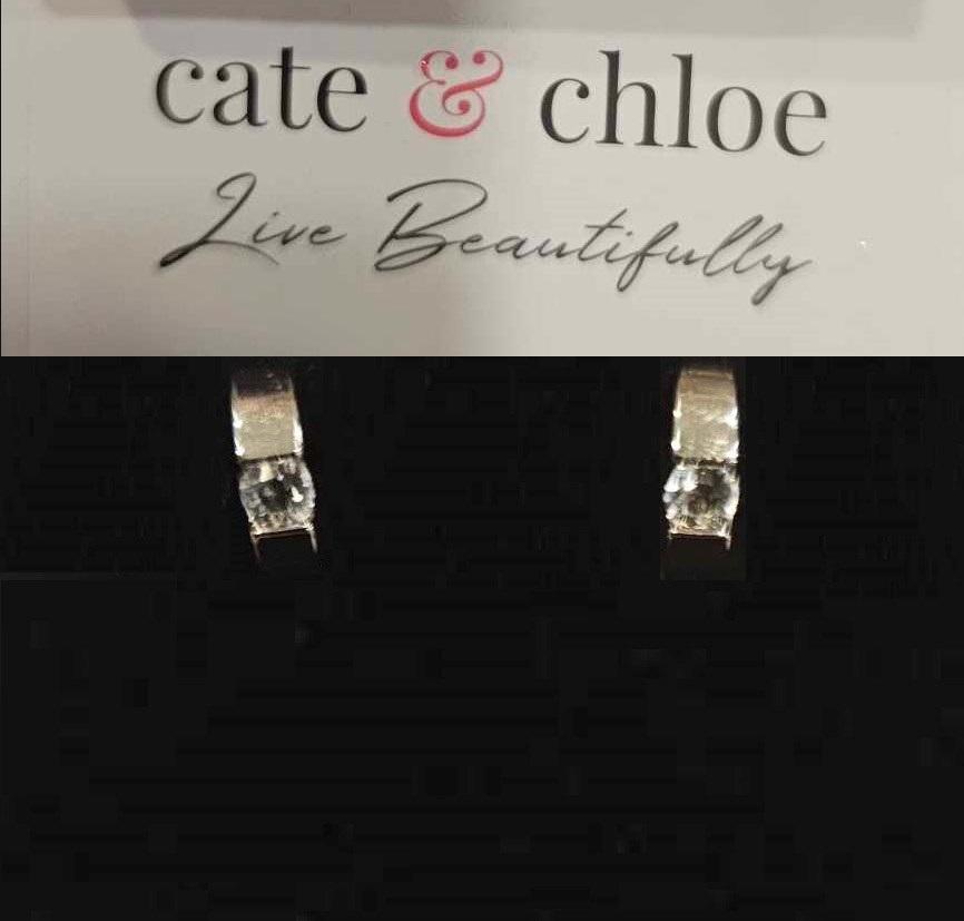 Charlie 18k White Gold Plated Hoop Earrings with Round Crystals - Customer Photo From Jessica M.