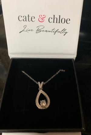 Arabella 18k White Gold Plated Teardrop Necklace with CZ Crystals - Customer Photo From MnLady