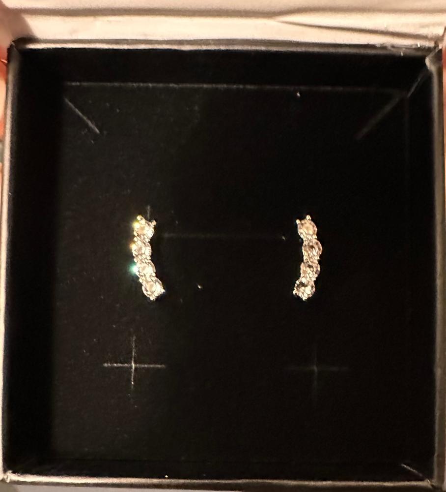 Aubree 18k White Gold Plated Crystal Drop Stud Earrings - Customer Photo From 901JW