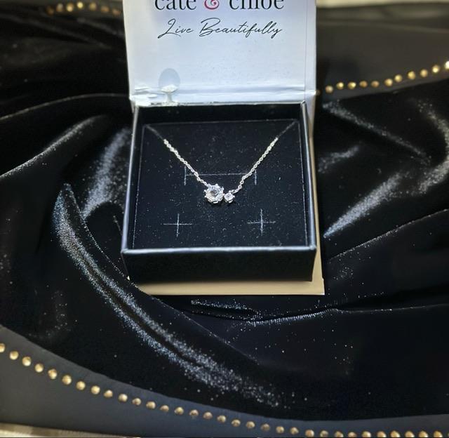 Emma 18k White Gold Plated 2-Stone Crystal Pendant Necklace - Customer Photo From Ed