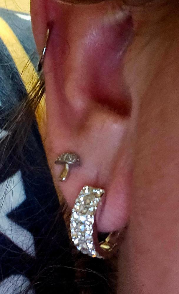 Wrenley 18k White Gold Plated Crystal Hoop Earrings for Women - Customer Photo From Candy F.