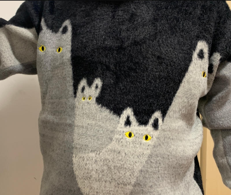 Cute Cat Color Block Sweater - Customer Photo From Caroline Blum