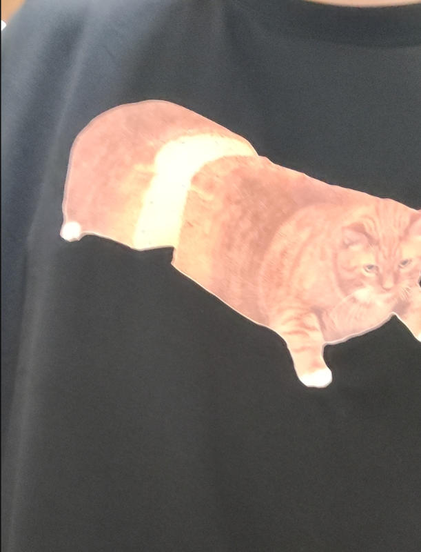 Bread Slice Cat T-Shirt - Customer Photo From grayson.ford