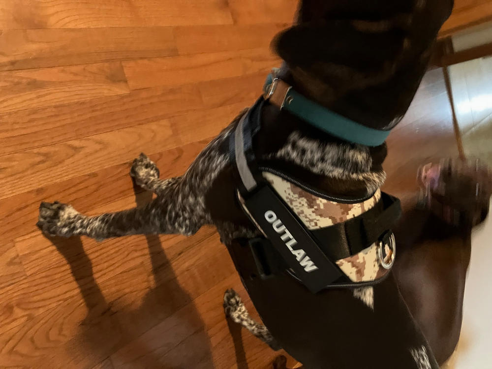 Personalized No Pull Dog Harness - Lifetime Warranty