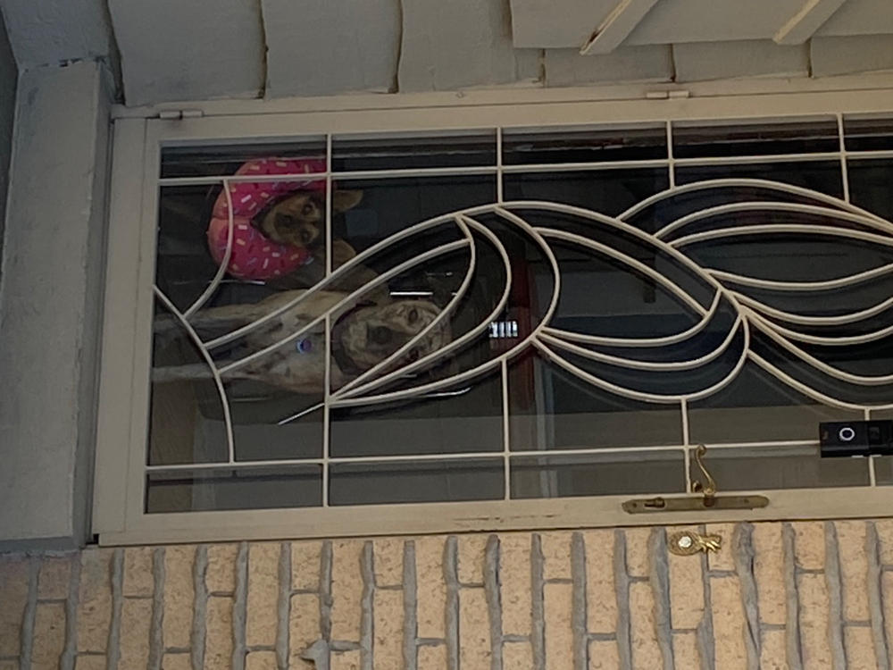 Full Spectrum CBD Oil - 125 mg - Customer Photo From Shantele Sherman