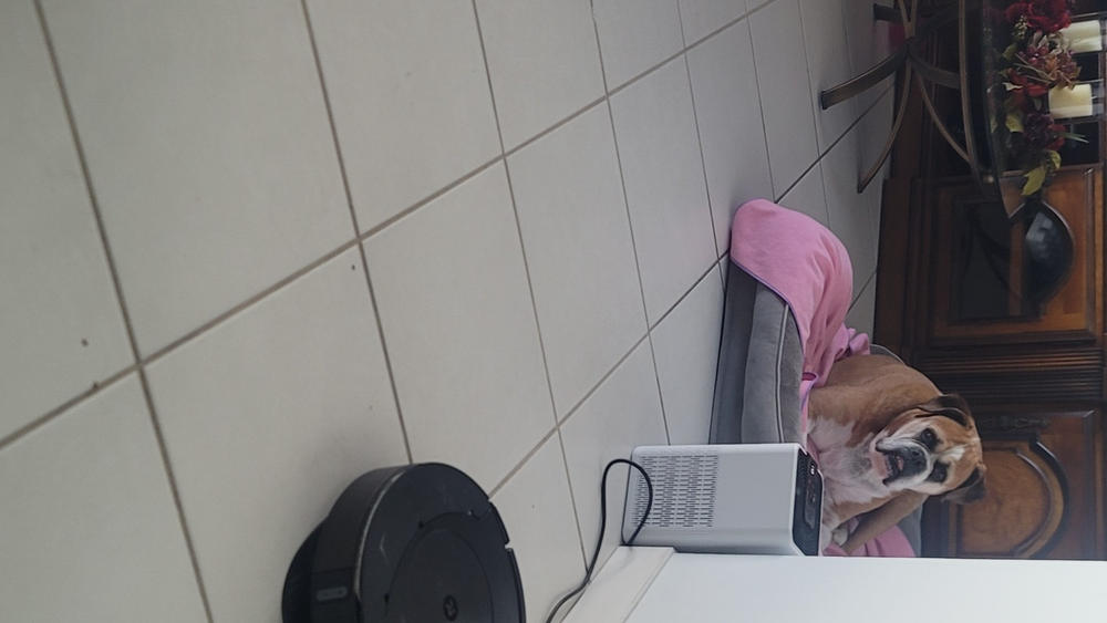 Full Spectrum CBD Oil - 500 mg - Customer Photo From Wilmer Moya