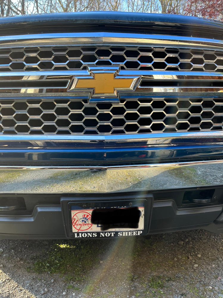 LIONS NOT SHEEP OG License Plate Cover - Customer Photo From Patricia DiPleco