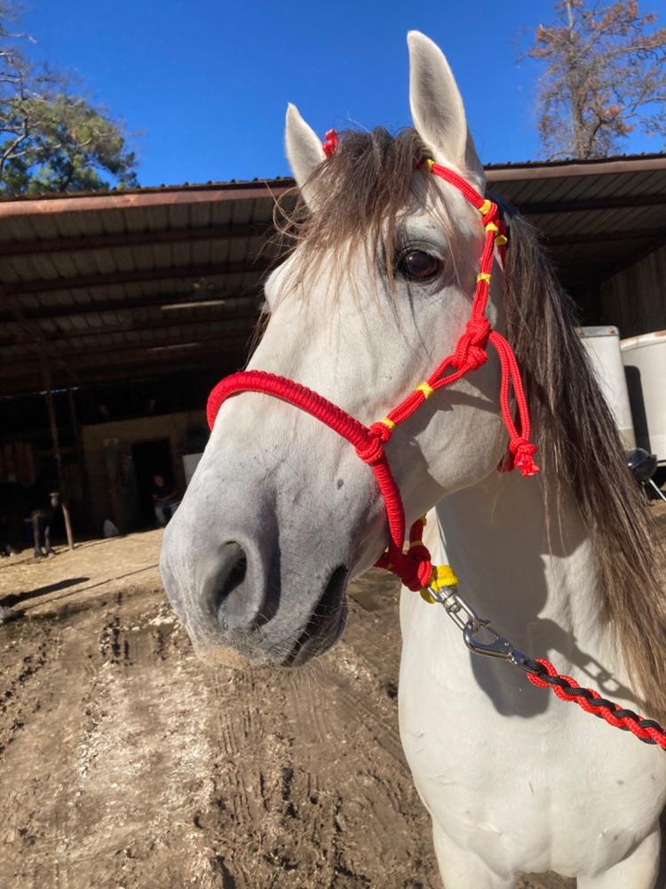 Diamond Braid Polypro Rope - Customer Photo From Luis Pina III