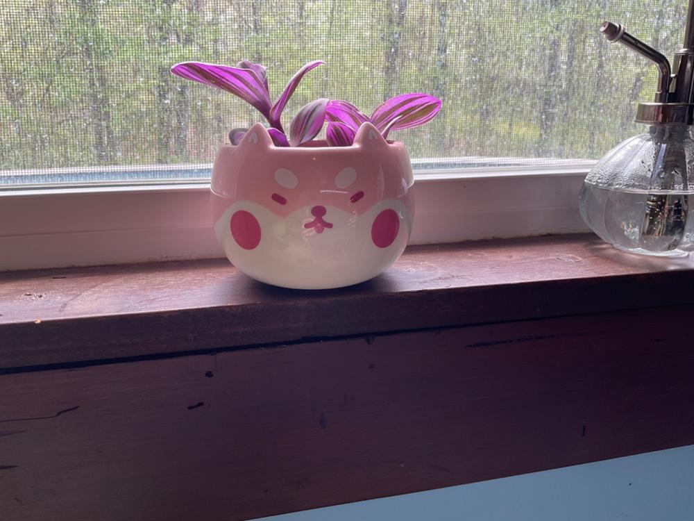 Shiba Planter - Customer Photo From Anonymous
