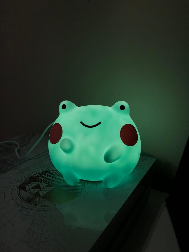 Ebbo Frog Night Light - Customer Photo From Romy B.