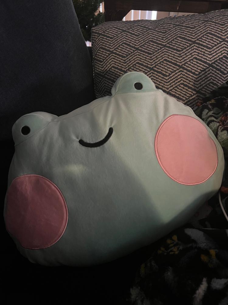 Ebbo Frog USB Heated Cushion - Customer Photo From Rae 